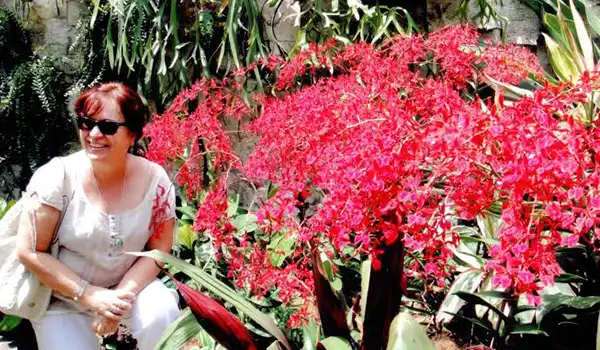 Deusa Rodrigues em um jardim com flores vermelhas e plantas verdes, usando óculos escuros e camisa branca, apreciando a natureza ao seu redor. Singapura e os pontos turísticos.