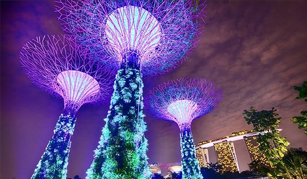Arte futurista da Gardens by the Bay em Singapura com as famosas Supertrees iluminadas em tons de roxo e azul durante à noite, com o skyline ao fundo