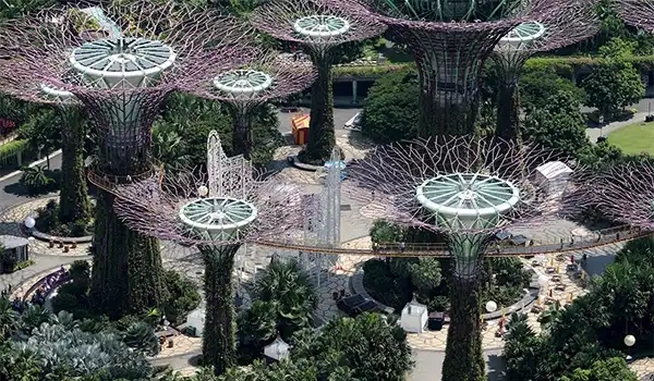 Imagem do parque Gardens by the Bay em Singapura e seus pontos turísticos, destacando suas árvores artificiais formadas por estruturas metálicas e plantas. Um destino turístico famoso por sua arquitetura inovadora e jardins futuristas.