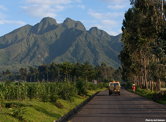 Montanha de gorilas Ruanda: uma viagem na África