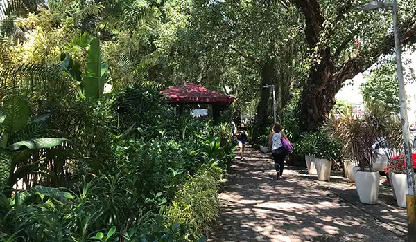 Imagem de um caminho em um parque com árvores, plantas e duas pessoas caminhando em um dia ensolarado, criando um ambiente natural e relaxante.