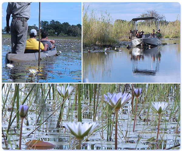Viagem à Botswana: o espetáculo do Delta do Okavango