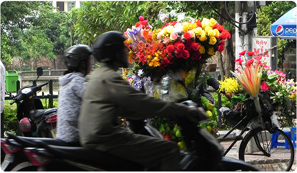 Vietnam roteiro de viagem: uma grata surpresa na Ásia