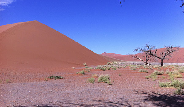 Namíbia o que fazer: safáris pelo deserto, animais e tribos nômades