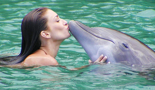 Mulher beijando um golfinho na água, demonstrando um momento de interação e carinho com o mamífero marinho durante um passeio aquático.