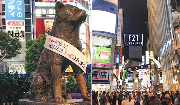 Estátua do cachorro Hachiko em Shibuya, Tóquio, em meio a letreiros luminosos e movimentação urbana.