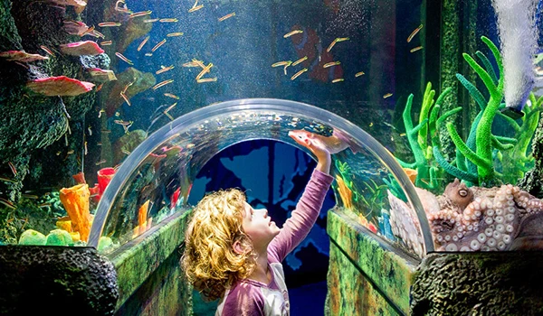 Menina explorando o aquário com vários Animais da Oceania, tocando na barreira de vidro do tanque de peixes, com diferentes espécies aquáticas ao redor e cenário subaquático