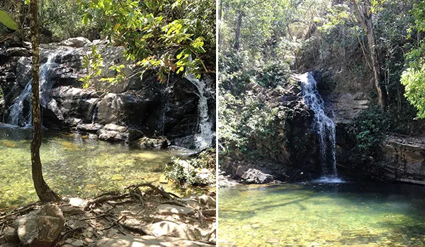 Duas fotos em sequência de uma cachoeira em meio à mata verde, com água caindo sobre rochas escuras e formando uma poça de água clara ao nível do solo, cercada por árvores e vegetação densa. Atrações do Planalto Central.