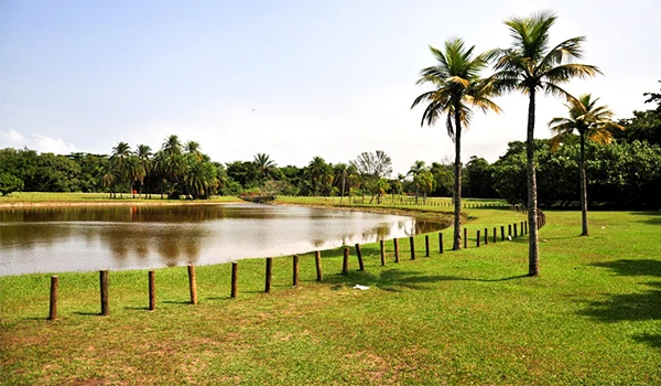 Paisagem de parque com lago, árvores e palmeiras ao fundo, ideal para lazer e contato com a natureza, uma das atrações da Barra da Tijuca.