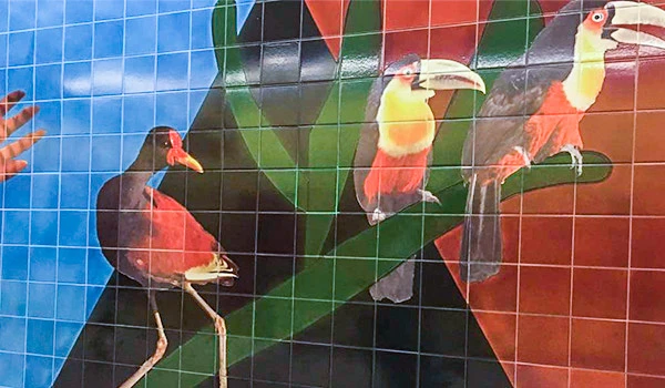 Imagem de três araras coloridas em uma árvore, destacando suas penas vibrantes e o ambiente natural ao fundo.