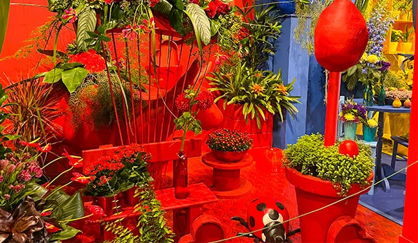 Foto de um recanto vermelho com Flores de Holambra na Expoflora.