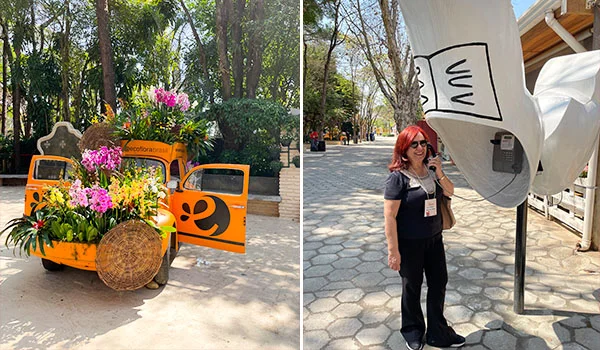 Foto de Deusa Rodrigues em um telefone antigo, orelhão e ao lado um carro com Flores de Holambra na Expoflora.