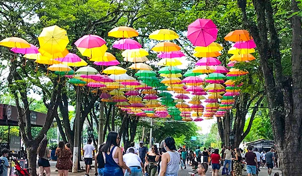 Foto de vários guarda-chuvas entre árvores na rua principal com as Flores de Holambra na Expoflora.