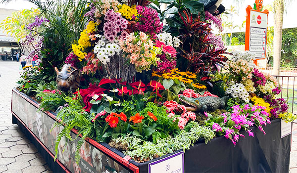 Foto de um carro alegórico com Flores de Holambra na Expoflora.