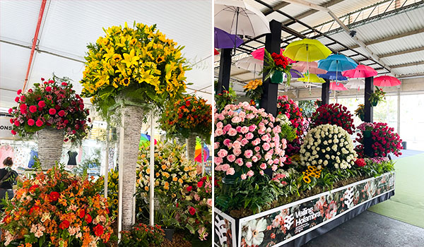 2 fotos de dois carros alegóricos da parada de Flores de Holambra na Expoflora.