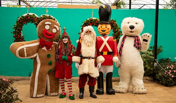Foto de personagens do Natal em Holambra, com Papai Noel, soldadinho de chumbo, urso, bolachinha e uma atriz.