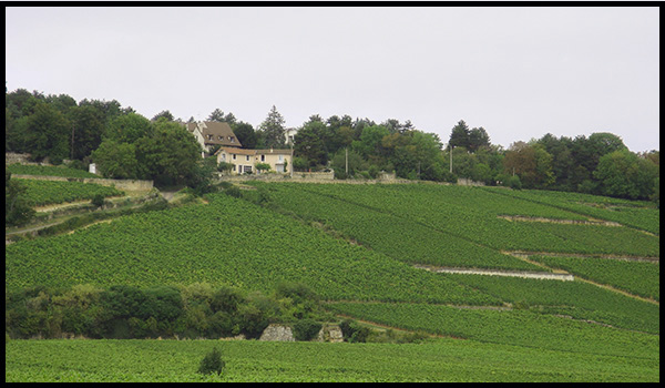 Dicas de viagem para Borgonha região da França de vinhos
