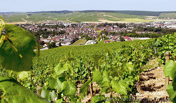 Dicas de viagem para Borgonha região da França de vinhos