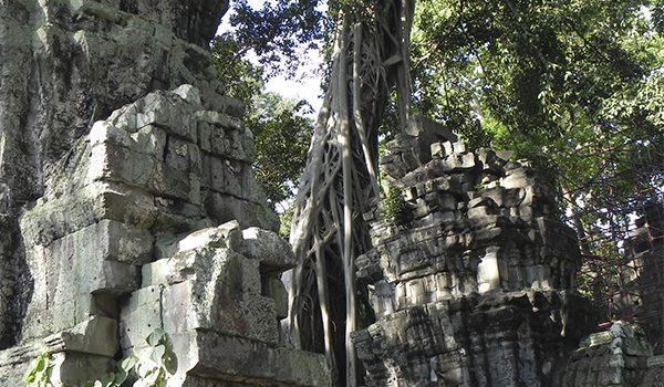 Angkor Wat no Cambodia: maior complexo de templos da Ásia