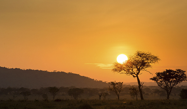 Tanzânia e a Grande Migração de animais - safáris fotográficos incríveis