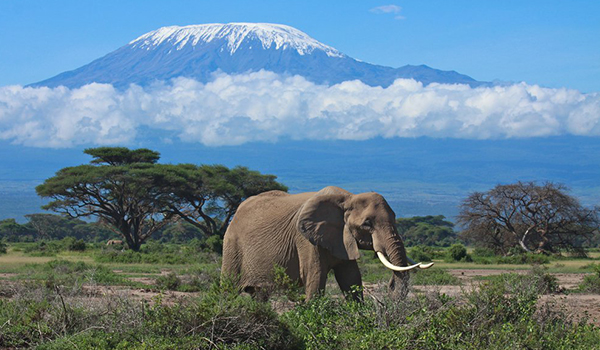 Tanzânia e a Grande Migração de animais - safáris fotográficos incríveis