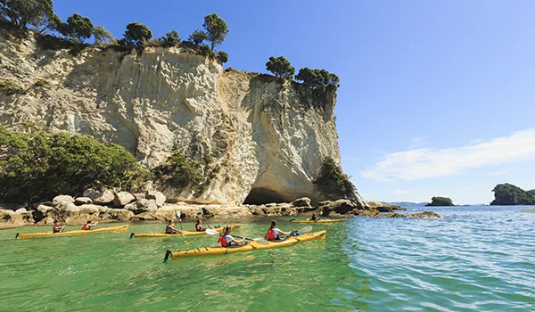 Foto de Cathedral Cove Coromandel em Adam Bryce, que é um penhasco a beira mar, onde se observa vários turistas praticando canoagem.