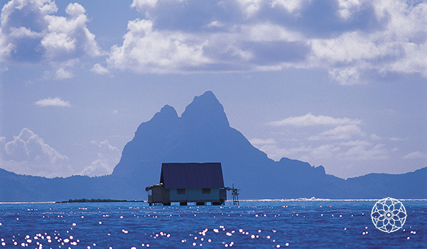 Pérolas negras do Tahiti - uma das atrações do paraíso
