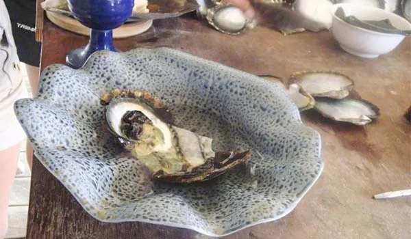 Uma ostra aberta, com uma das Pérolas negras do Tahiti, dentro de uma concha decorativa azul e branca sobre uma mesa de madeira. Ao fundo, há outras conchas, pratos e utensílios de mesa.