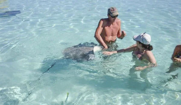Pessoa alimentando uma arraia em águas rasas e cristalinas, enquanto outras pessoas observam e interagem com o animal.
