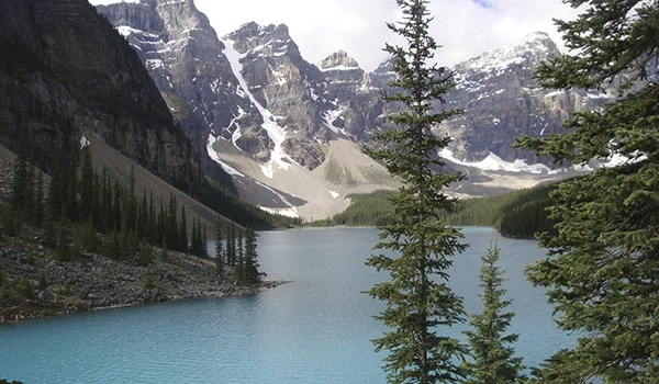 Lago de águas azul-turquesa cercado por florestas de coníferas, com altas montanhas rochosas ao fundo parcialmente cobertas de neve. Uma árvore ocupa o primeiro plano, enquanto o céu claro ilumina a paisagem alpina.
