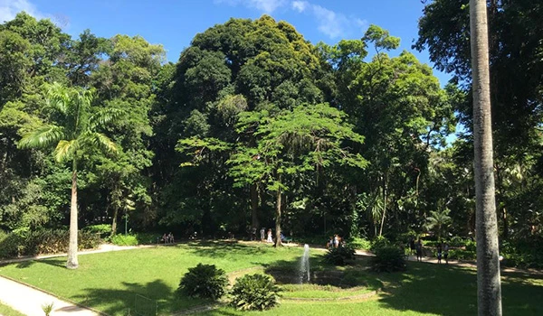 Imagem de um parque natural exuberante com árvores altas, gramado bem cuidado e um céu azul ao fundo, ideal para passeios ao ar livre.