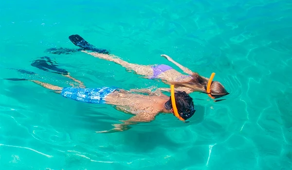 Casal com roupas de banho, usando máscaras de snorkel, nadando em águas cristalinas, explorando o mundo subaquático com snorkel, na Lua de Mel na Jamaica.