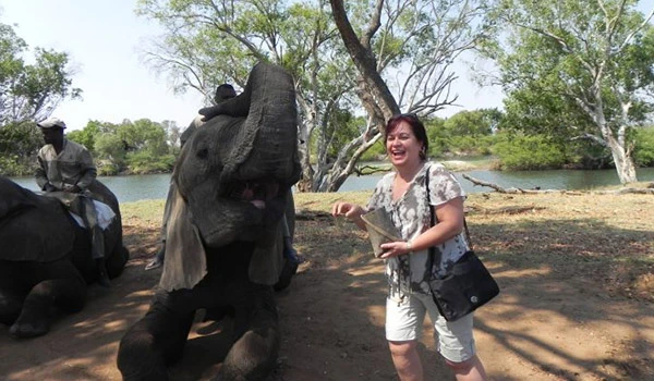 Deusa Rodrigues interagindo com um elefante em um ambiente natural, ao ar livre, ao lado de árvores e um rio, destacando um momento de contato com a natureza. Animais da África.