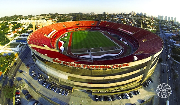 Visita ao estádio do Morumbi: sala de troféus, gramado, vestiários, etc.