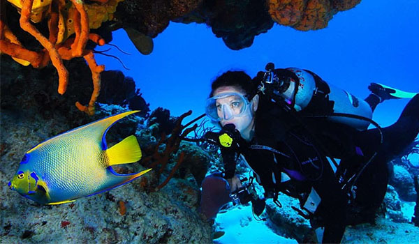 Imagem de uma mergulhadora com máscara e tubo de oxigênio olhado para peixe azul e amarelo próximo de corais.