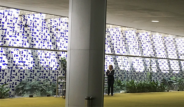 Imagem de uma pessoa esperando na entrada do Congresso Nacional em Brasília, com uma parede decorativa com padrão azul e branco ao fundo.