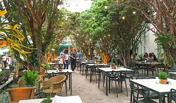 Restaurante ao ar livre, cercado por árvores e plantas tropicais, com mesas e cadeiras espalhadas por um pátio arborizado e cordões de luzes pendurados entre as árvores. Restaurante peruano Centro SP.