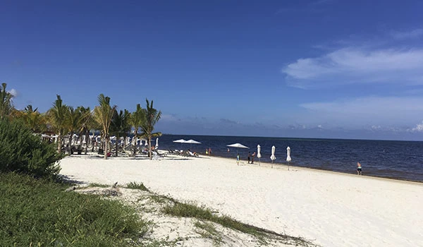 Praia paradisíaca com areia branca, águas tranquilos, palmeiras, espreguiçadeiras e guarda-sóis sob céu azul claro, ideal para relaxar e curtir o verão.