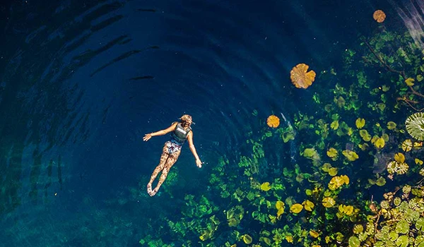 Mulher nadando em lago de águas claras rodeada por plantas aquáticas e folhas de victoria régia, em um ambiente natural e tranquilo. Lua de Mel em Cancun.