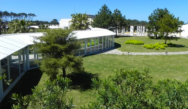 Imagem de um jardim bem cuidado com arbustos, árvores e uma estrutura de vidro em um dia ensolarado, proporcionando um espaço ao ar livre para lazer e relaxamento.