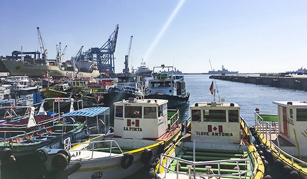 Imagem de um cais com várias embarcações e barcos de pesca representando a atividade marítima na região portuária.