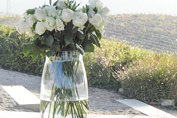 Vaso com elegante arranjo de rosas brancas e folhagens, colocado em uma superfície ao ar livre com vista para vegetação e montanhas ao fundo, ideal para decoração ou ocasiões especiais.