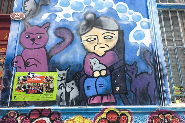 Grafite de uma mulher sentada, rodeada por gatos em uma parede de rua, com uma expressão triste, com destaque para os detalhes e cores vivas na arte urbana. Grafites de Valparaíso.