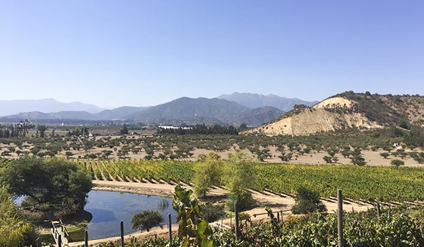 Paisagem de vinhedos em uma região com montanhas ao fundo e um rio ao lado, sob céu claro, caracterizando uma região de agroturismo e produção de vinho.