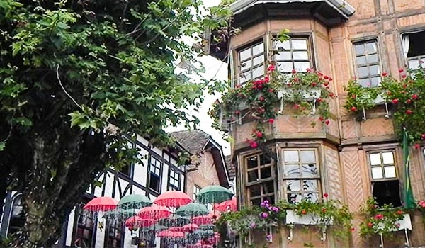 Imagem de prédio antigo com janelas grandes decoradas com flores e toldos coloridos, ao lado de uma árvore verde, em uma rua charmosa. Natal em Campos do Jordão.