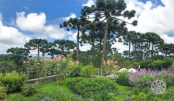 Paisagem de jardim com árvores altas, arbustos floridos e céu com algumas nuvens, criando um cenário natural e tranquilo.