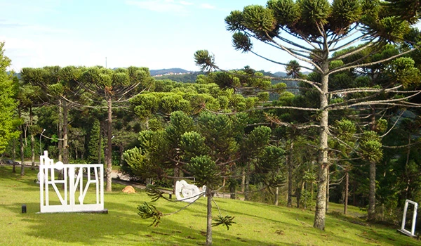Imagem de um parque com árvores verdes, gramado bem cuidado, e estruturas brancas decorativas ao fundo, em um dia ensolarado com céu limpo. Lua de Mel em Campos do Jordão.