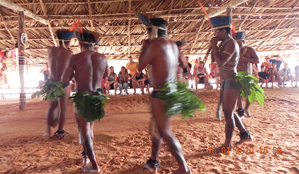 O que fazer em Manaus na Amazônia: melhores passeios e experiências