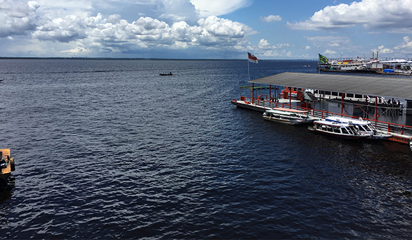 O que fazer em Manaus na Amazônia: melhores passeios e experiências