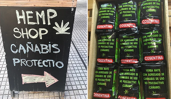Cartaz de loja de hemp e cânhamo, destacando produtos de cannabis de uso não psicoativo, com destaque para o nome 'Hemp Shop' e produtos de Yerba Mate com cannabis.